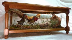Table basse(hetre teinté noyer)-avec-renardeau-faisan-et-rale-d'eau